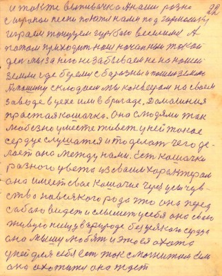 STR022.JPG